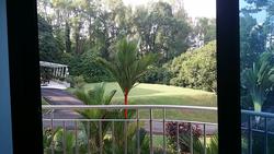 Holland Peak (D10), Condominium #85897312